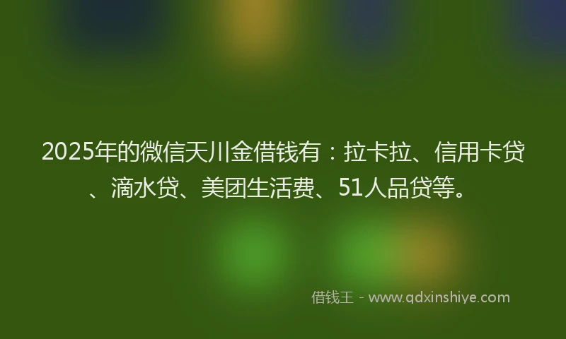 2025年的微信天川金借钱有：拉卡拉、信用卡贷、滴水贷、美团生活费、51人品贷等。