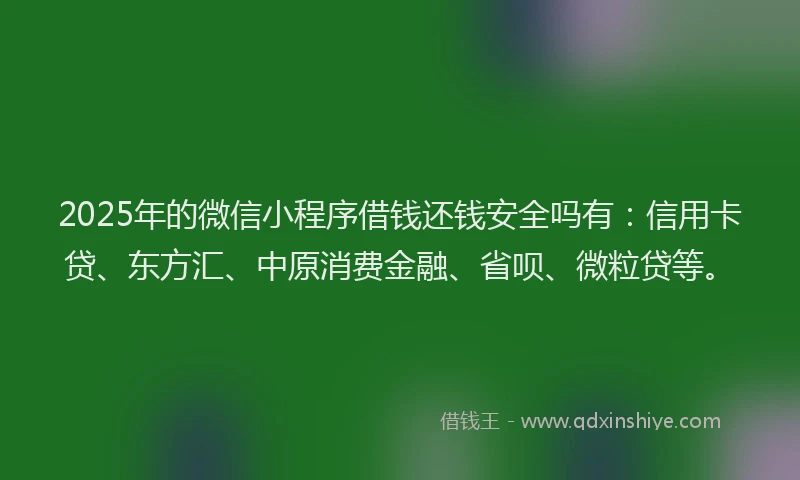 2025年的微信小程序借钱还钱安全吗有：信用卡贷、东方汇、中原消费金融、省呗、微粒贷等。