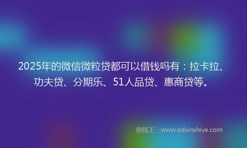 2025年的微信微粒贷都可以借钱吗有：拉卡拉、功夫贷、分期乐、51人品贷、惠商贷等。