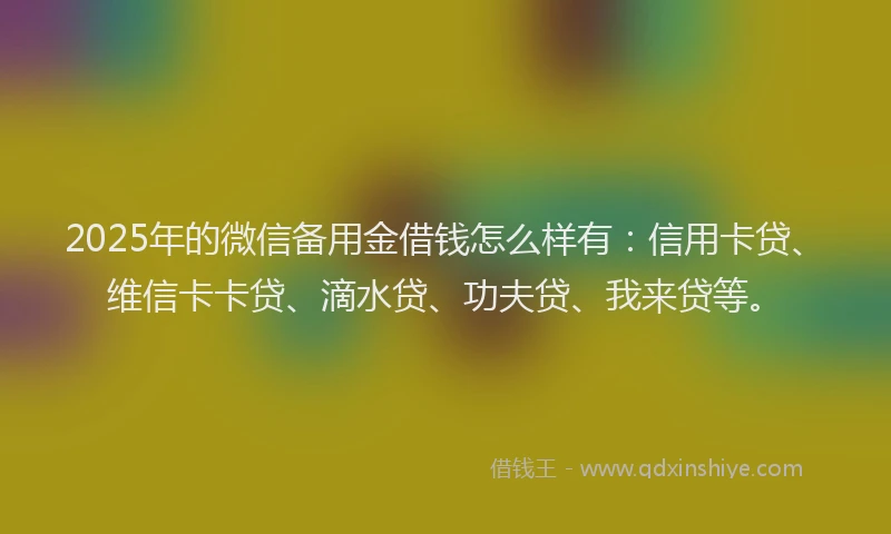 2025年的微信备用金借钱怎么样有：信用卡贷、维信卡卡贷、滴水贷、功夫贷、我来贷等。