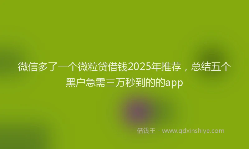 微信多了一个微粒贷借钱2025年推荐，总结五个黑户急需三万秒到的的app