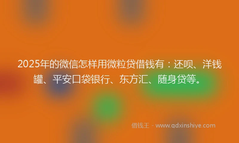 2025年的微信怎样用微粒贷借钱有：还呗、洋钱罐、平安口袋银行、东方汇、随身贷等。