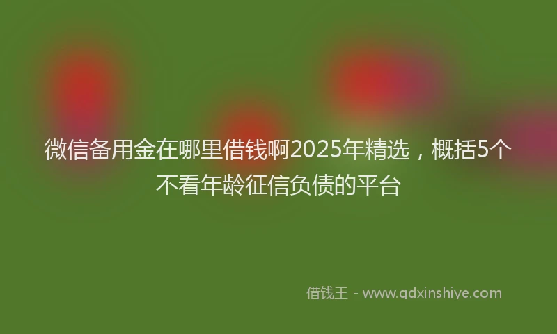 微信备用金在哪里借钱啊2025年精选，概括5个不看年龄征信负债的平台
