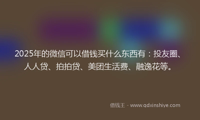 2025年的微信可以借钱买什么东西有：投友圈、人人贷、拍拍贷、美团生活费、融逸花等。