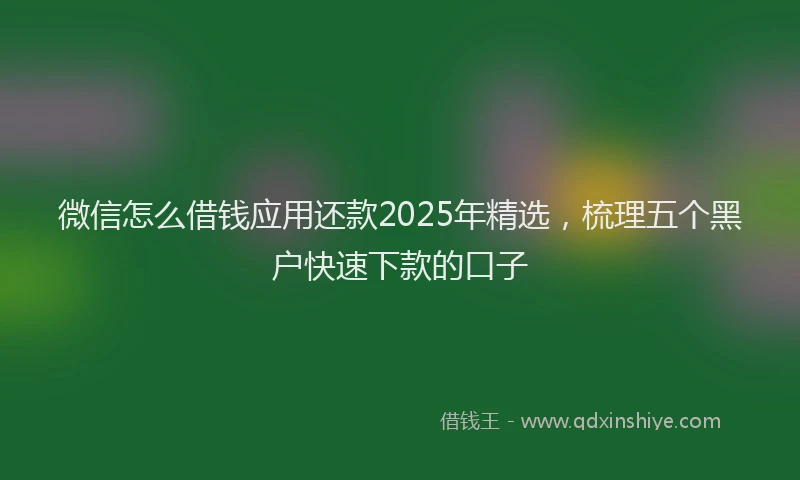 微信怎么借钱应用还款2025年精选，梳理五个黑户快速下款的口子