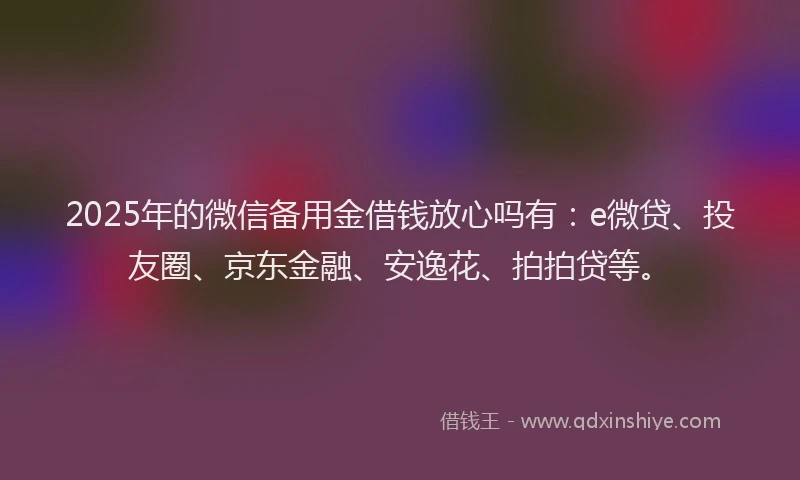 2025年的微信备用金借钱放心吗有：e微贷、投友圈、京东金融、安逸花、拍拍贷等。