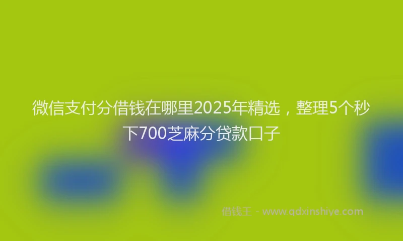微信支付分借钱在哪里2025年精选，整理5个秒下700芝麻分贷款口子