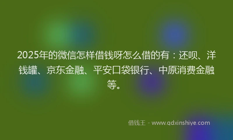 2025年的微信怎样借钱呀怎么借的有：还呗、洋钱罐、京东金融、平安口袋银行、中原消费金融等。