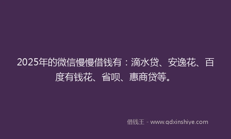 2025年的微信慢慢借钱有：滴水贷、安逸花、百度有钱花、省呗、惠商贷等。