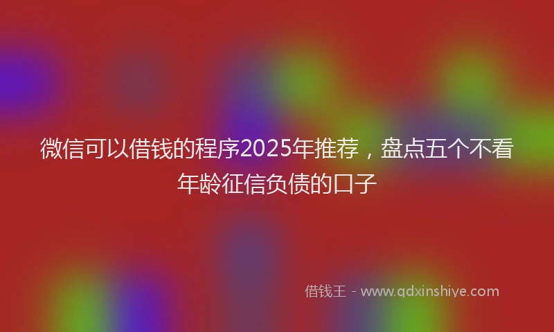 微信可以借钱的程序2025年推荐，盘点五个不看年龄征信负债的口子