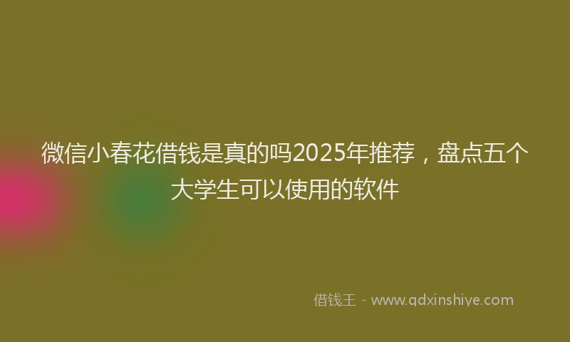 微信小春花借钱是真的吗2025年推荐，盘点五个大学生可以使用的软件