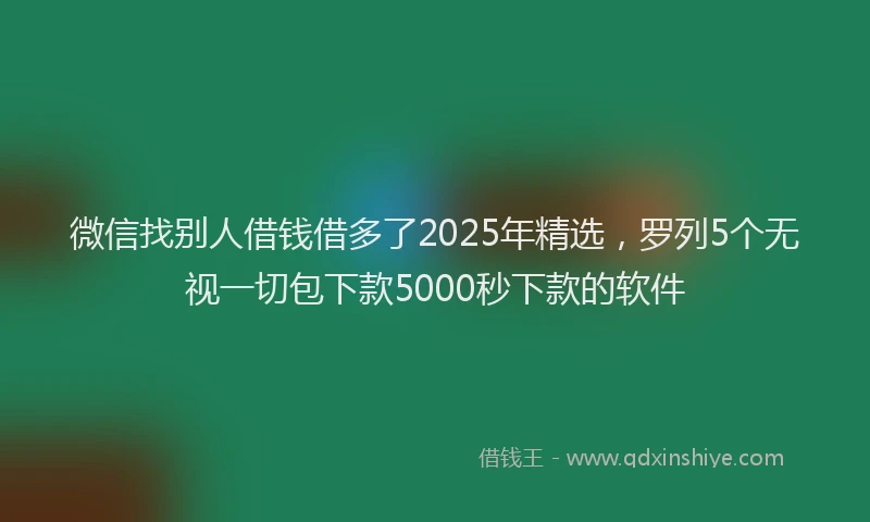 微信找别人借钱借多了2025年精选，罗列5个无视一切包下款5000秒下款的软件
