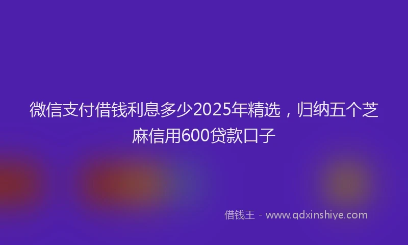 微信支付借钱利息多少2025年精选，归纳五个芝麻信用600贷款口子