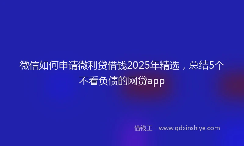 微信如何申请微利贷借钱2025年精选，总结5个不看负债的网贷app