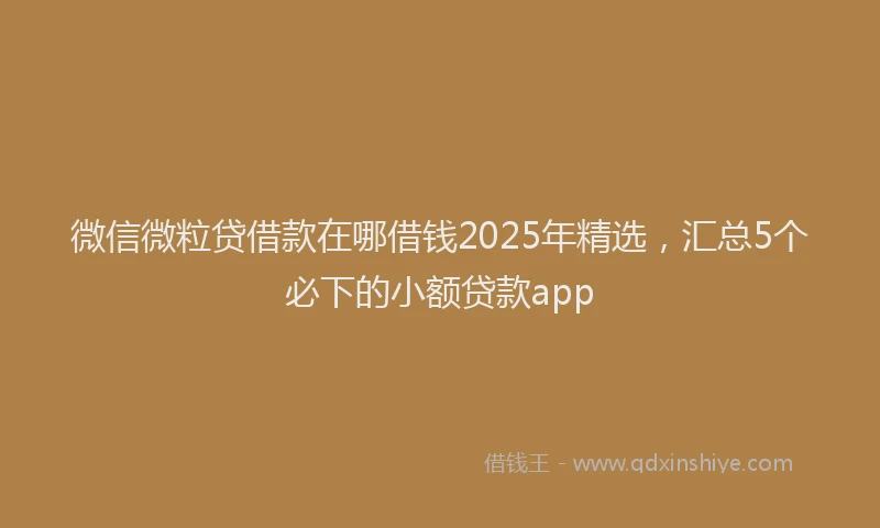 微信微粒贷借款在哪借钱2025年精选，汇总5个必下的小额贷款app