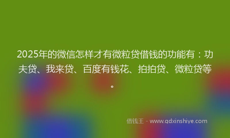 2025年的微信怎样才有微粒贷借钱的功能有：功夫贷、我来贷、百度有钱花、拍拍贷、微粒贷等。