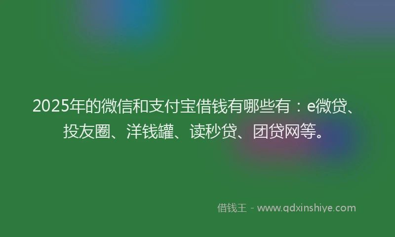2025年的微信和支付宝借钱有哪些有:e微贷、投友圈、洋钱罐、读秒贷、团贷网等。