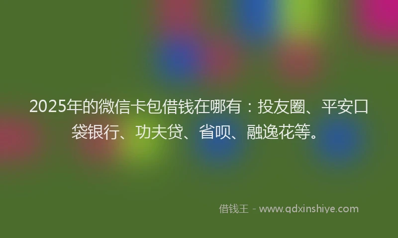 2025年的微信卡包借钱在哪有：投友圈、平安口袋银行、功夫贷、省呗、融逸花等。