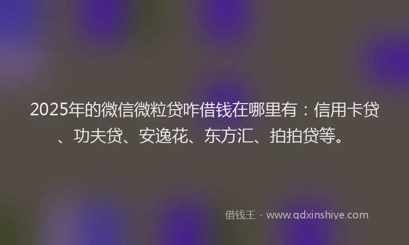 2025年的微信微粒贷咋借钱在哪里有：信用卡贷、功夫贷、安逸花、东方汇、拍拍贷等。