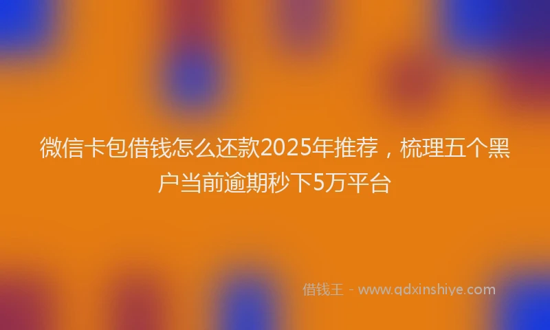 微信卡包借钱怎么还款2025年推荐，梳理五个黑户当前逾期秒下5万平台