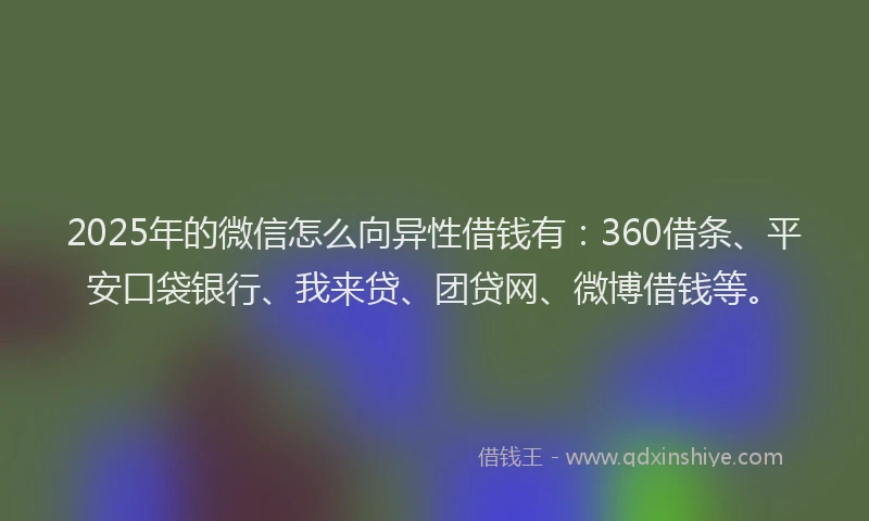 2025年的微信怎么向异性借钱有：360借条、平安口袋银行、我来贷、团贷网、微博借钱等。