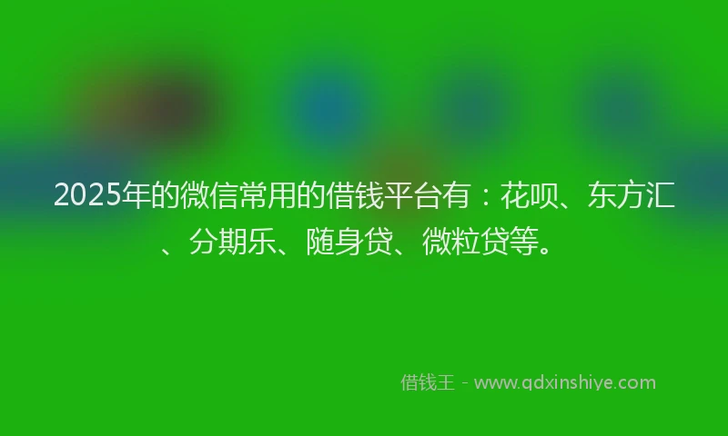 2025年的微信常用的借钱平台有：花呗、东方汇、分期乐、随身贷、微粒贷等。