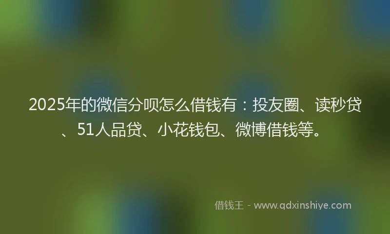 2025年的微信分呗怎么借钱有：投友圈、读秒贷、51人品贷、小花钱包、微博借钱等。