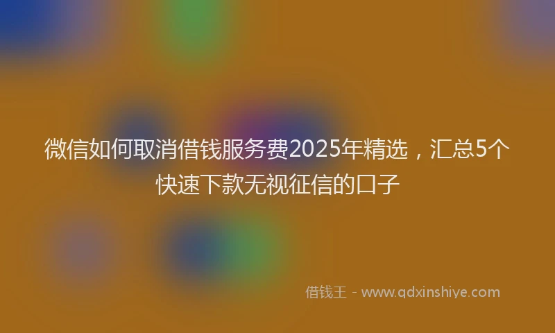 微信如何取消借钱服务费2025年精选，汇总5个快速下款无视征信的口子