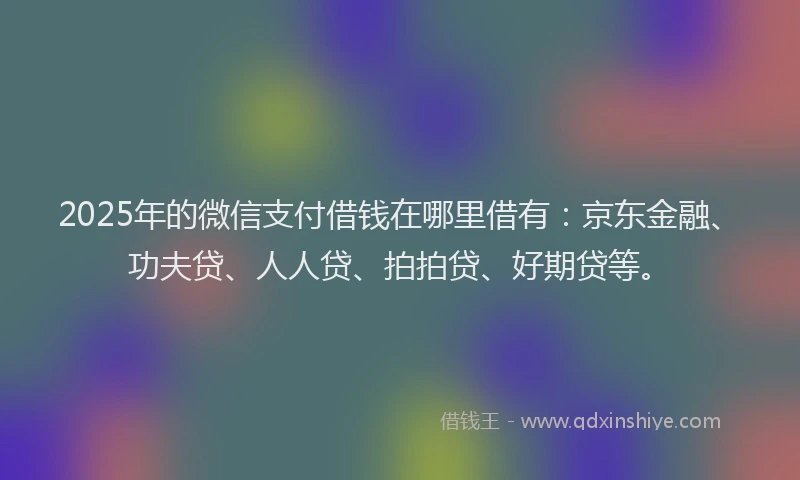 2025年的微信支付借钱在哪里借有：京东金融、功夫贷、人人贷、拍拍贷、好期贷等。