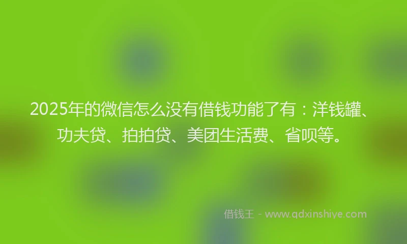 2025年的微信怎么没有借钱功能了有：洋钱罐、功夫贷、拍拍贷、美团生活费、省呗等。