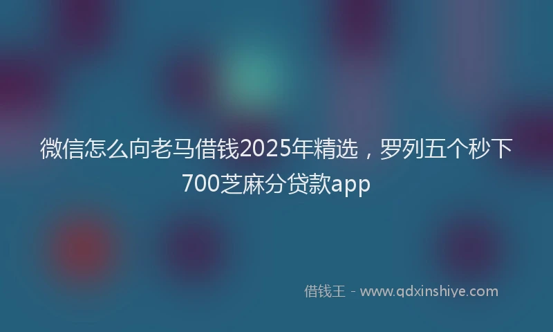 微信怎么向老马借钱2025年精选，罗列五个秒下700芝麻分贷款app