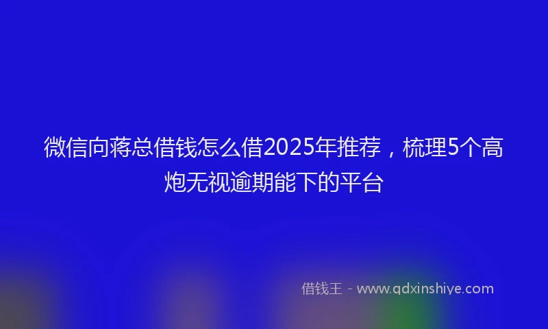 微信向蒋总借钱怎么借2025年推荐，梳理5个高炮无视逾期能下的平台