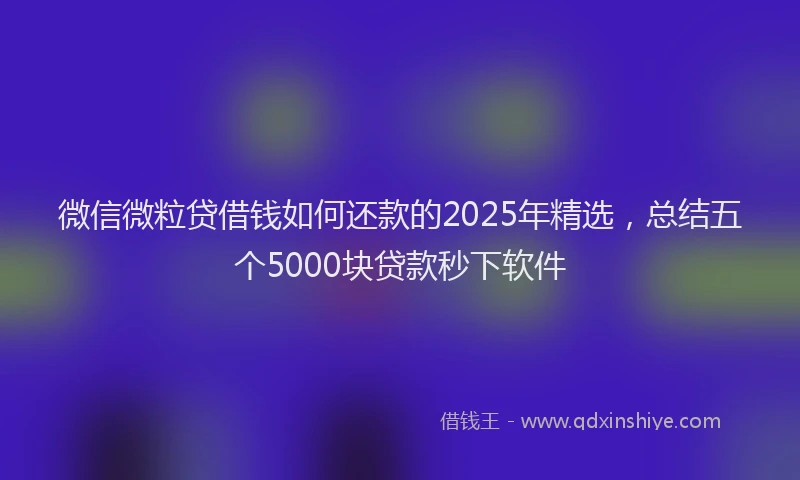 微信微粒贷借钱如何还款的2025年精选，总结五个5000块贷款秒下软件