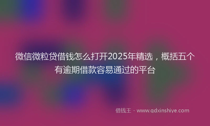 微信微粒贷借钱怎么打开2025年精选，概括五个有逾期借款容易通过的平台