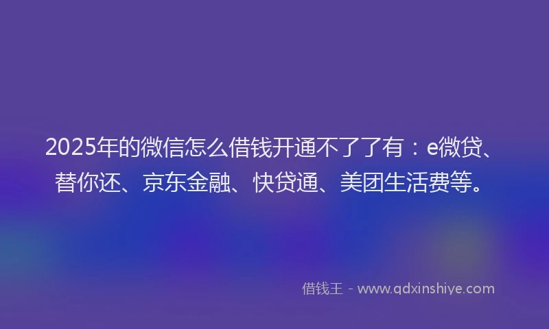 2025年的微信怎么借钱开通不了了有：e微贷、替你还、京东金融、快贷通、美团生活费等。