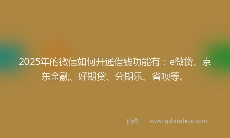 2025年的微信如何开通借钱功能有：e微贷、京东金融、好期贷、分期乐、省呗等。