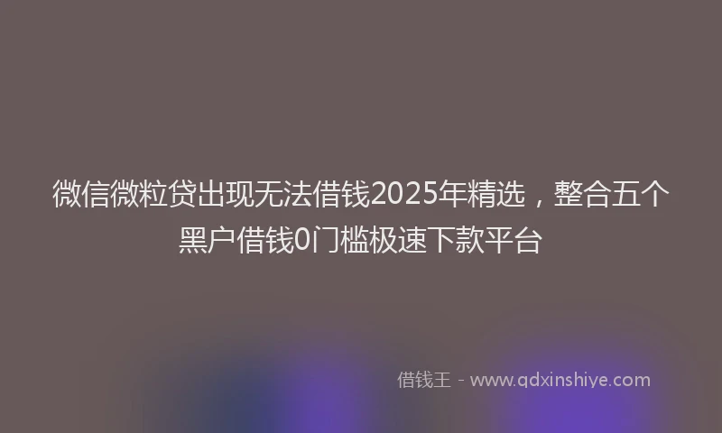 微信微粒贷出现无法借钱2025年精选，整合五个黑户借钱0门槛极速下款平台
