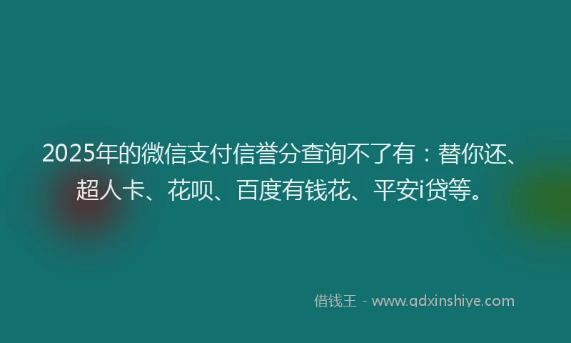 2025年的微信支付信誉分查询不了有：替你还、超人卡、花呗、百度有钱花、平安i贷等。