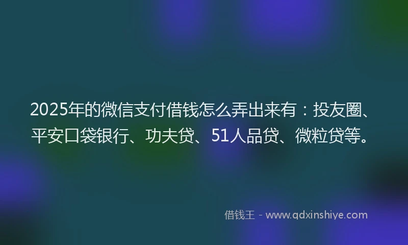 2025年的微信支付借钱怎么弄出来有：投友圈、平安口袋银行、功夫贷、51人品贷、微粒贷等。