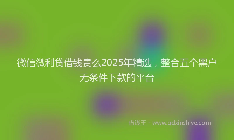 微信微利贷借钱贵么2025年精选，整合五个黑户无条件下款的平台