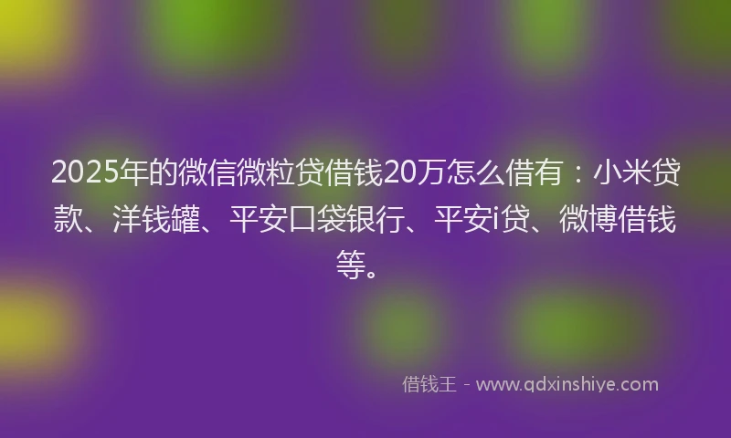 2025年的微信微粒贷借钱20万怎么借有：小米贷款、洋钱罐、平安口袋银行、平安i贷、微博借钱等。