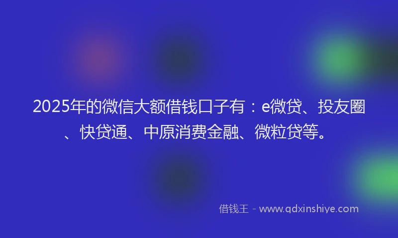 2025年的微信大额借钱口子有：e微贷、投友圈、快贷通、中原消费金融、微粒贷等。