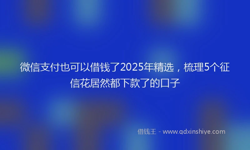 微信支付也可以借钱了2025年精选，梳理5个征信花居然都下款了的口子