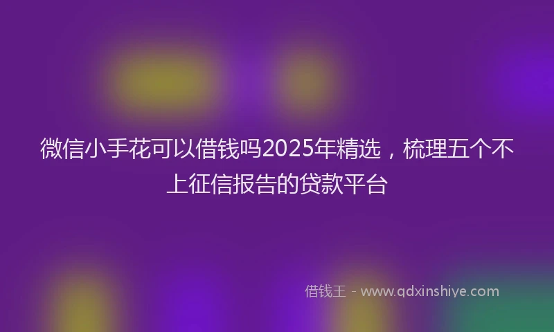 微信小手花可以借钱吗2025年精选，梳理五个不上征信报告的贷款平台