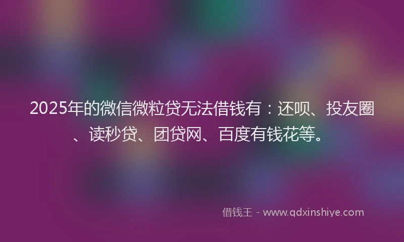 2025年的微信微粒贷无法借钱有：还呗、投友圈、读秒贷、团贷网、百度有钱花等。