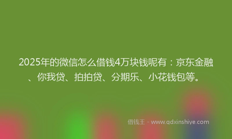 2025年的微信怎么借钱4万块钱呢有：京东金融、你我贷、拍拍贷、分期乐、小花钱包等。