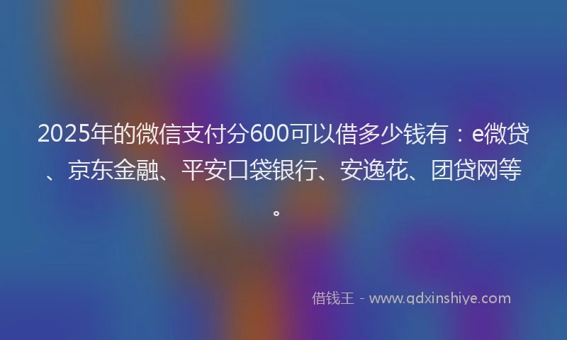 2025年的微信支付分600可以借多少钱有：e微贷、京东金融、平安口袋银行、安逸花、团贷网等。