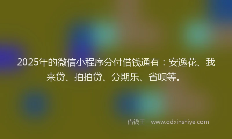 2025年的微信小程序分付借钱通有：安逸花、我来贷、拍拍贷、分期乐、省呗等。