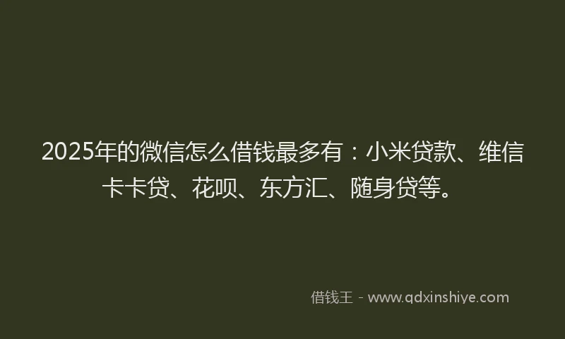 2025年的微信怎么借钱最多有：小米贷款、维信卡卡贷、花呗、东方汇、随身贷等。
