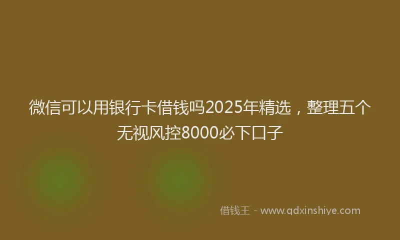 微信可以用银行卡借钱吗2025年精选，整理五个无视风控8000必下口子